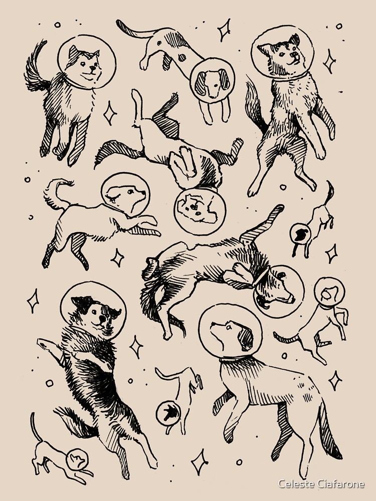 raf750x1000075te5d6c5f62bbf65ee.u2 artwork Offical galaxy Merch